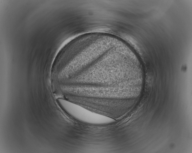 X0000097851324200803281238