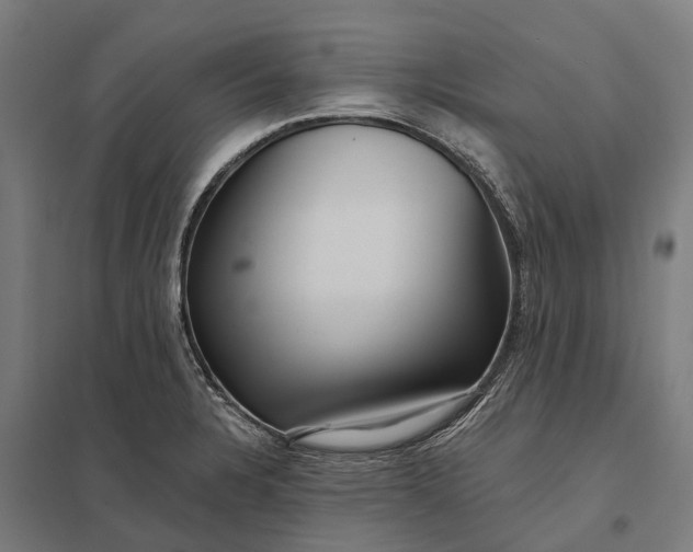 X0000097851328200803281238