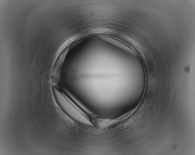 X0000097851330200803281238