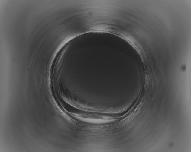 X0000097851331200803281238