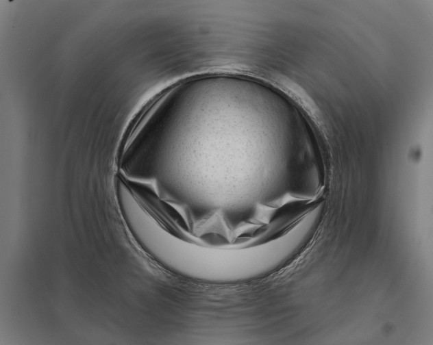 X0000097851332200803281239