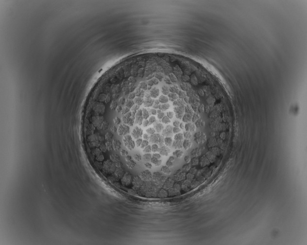 X0000097851333200803281239