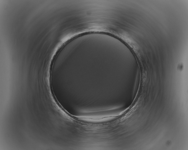 X0000097851334200803281239