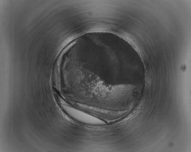 X0000097851337200803281239