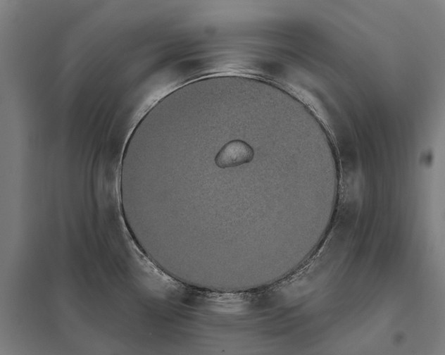 X0000097851338200803281239