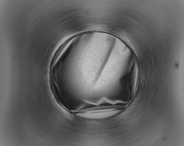 X0000097851339200803281239