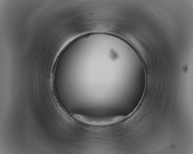 X0000097851340200803281239