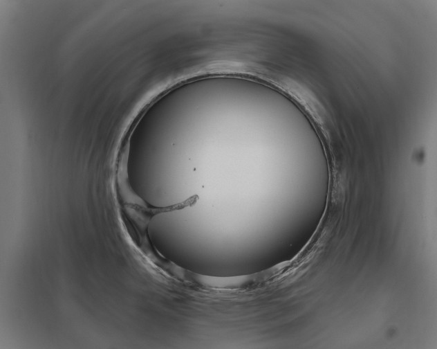 X0000097851342200803281239