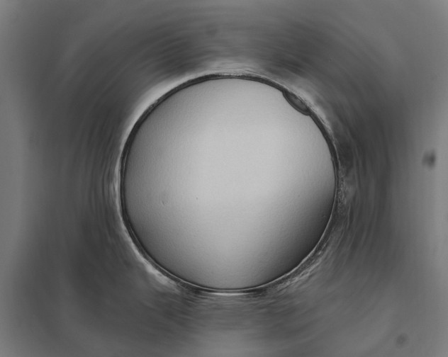 X0000097851343200803281239