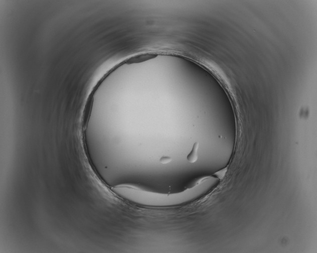 X0000097851344200803281239