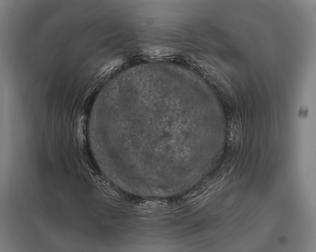 X0000097851346200803281238