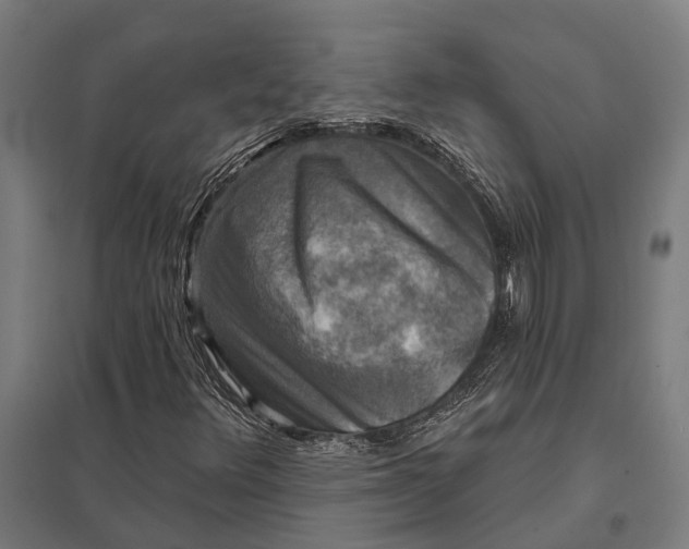 X0000097851348200803281238