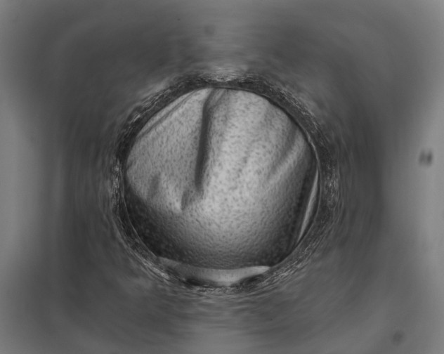 X0000097851349200803281238