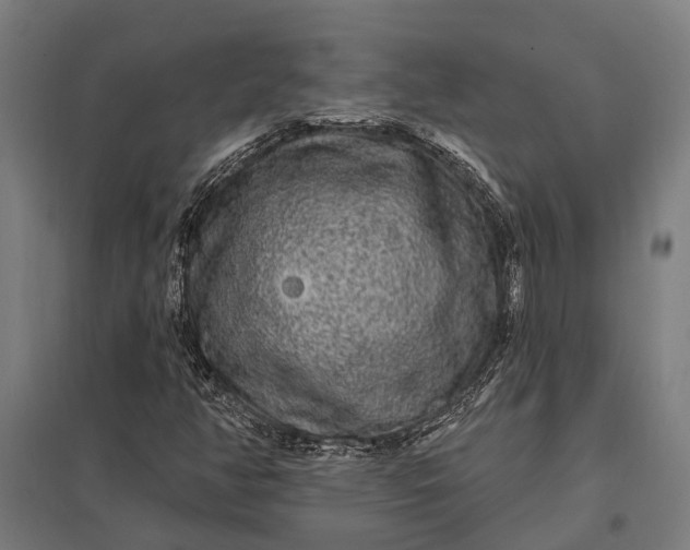 X0000097851350200803281238