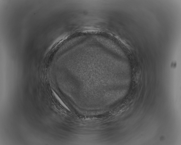 X0000097851351200803281238