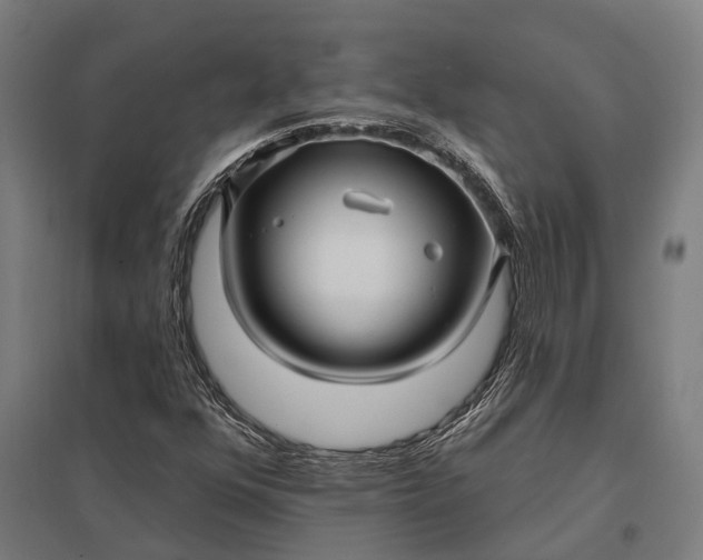 X0000097851352200803281238