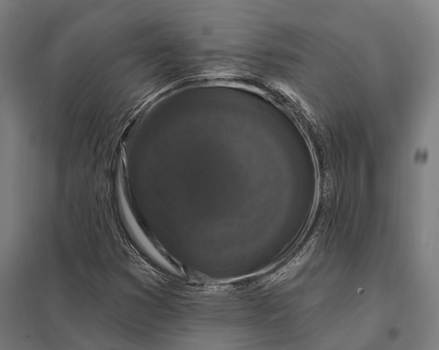 X0000097851353200803281238