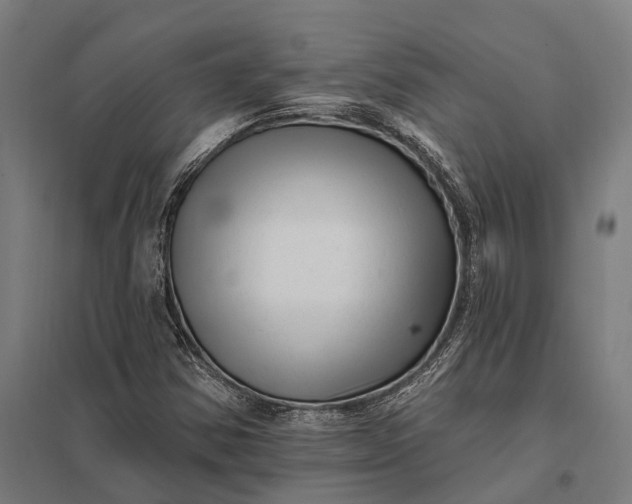 X0000097851354200803281238