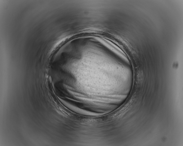 X0000097851355200803281238