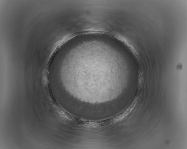 X0000097851357200803281238