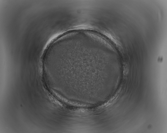 X0000097851358200803281238