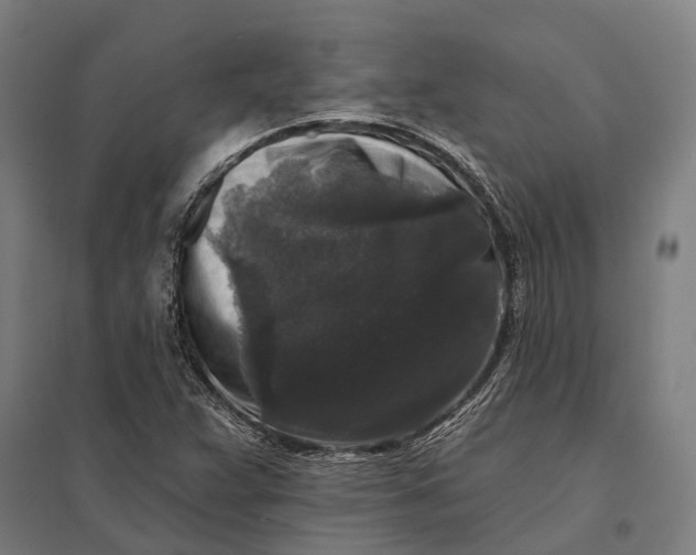 X0000097851359200803281238