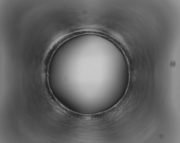 X0000097851360200803281238