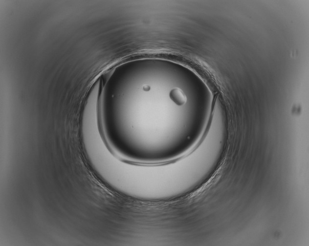 X0000097851361200803281238