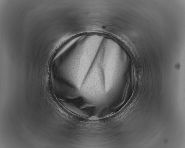 X0000097851363200803281238