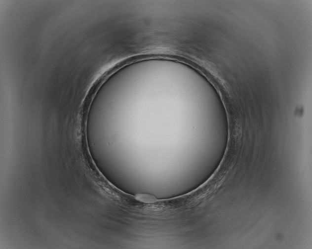 X0000097851364200803281238