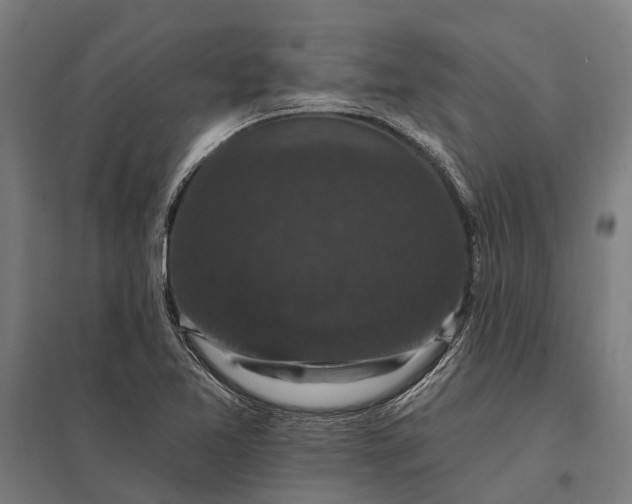 X0000097851365200803281238