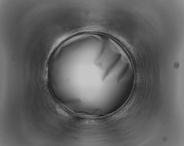 X0000097851366200803281238