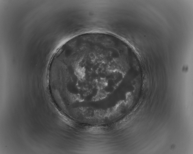 X0000097851367200803281238