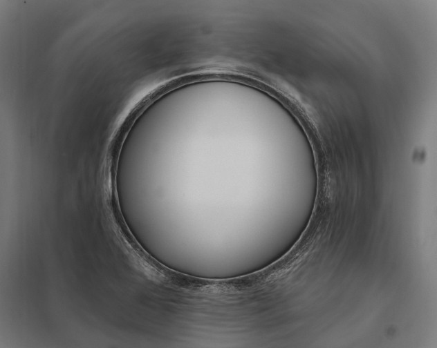 X0000097851368200803281238