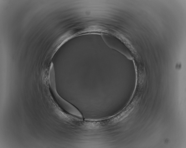 X0000097851369200803281238