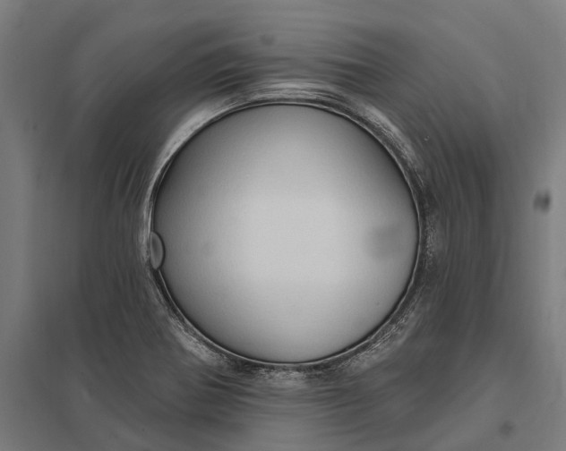 X0000097851370200803281237