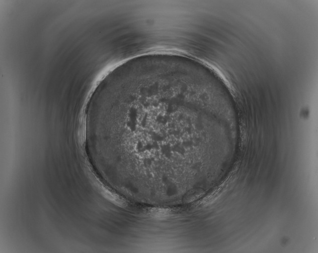 X0000097851371200803281237