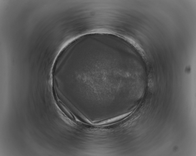 X0000097851372200803281237