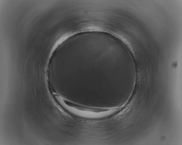 X0000097851373200803281237