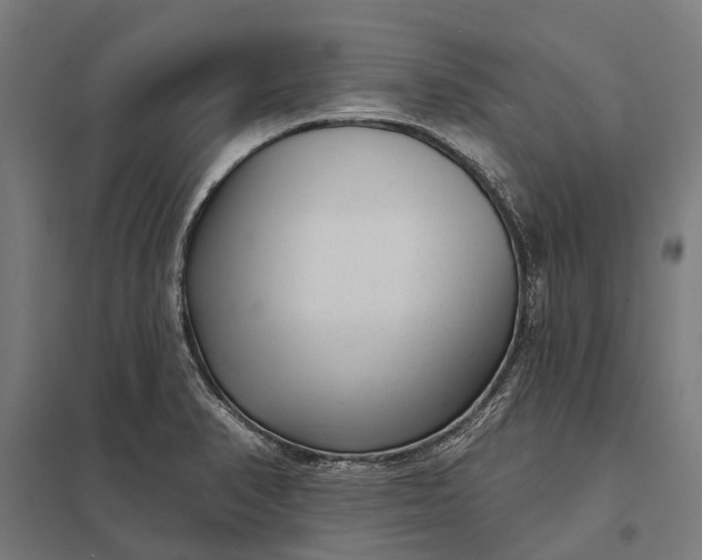 X0000097851374200803281237