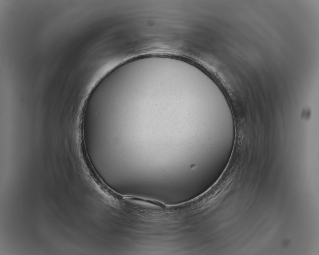 X0000097851375200803281237