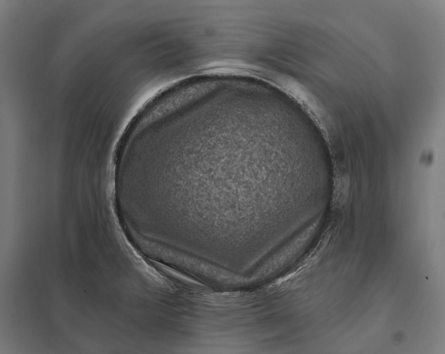 X0000097851376200803281237