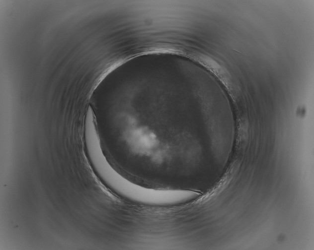 X0000097851377200803281237