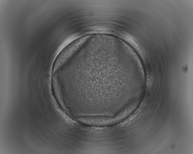 X0000097851378200803281237