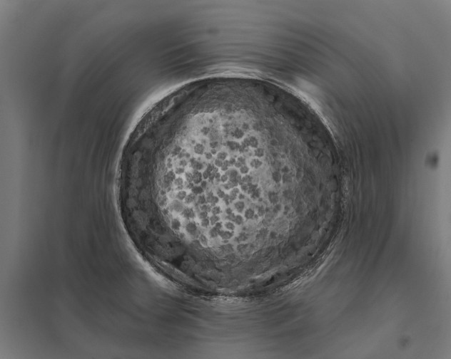 X0000097851379200803281237