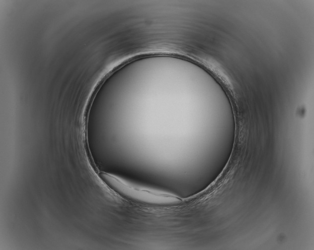 X0000097851380200803281237