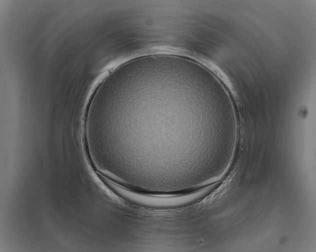 X0000097851381200803281237