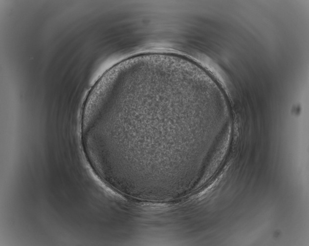 X0000097851382200803281237