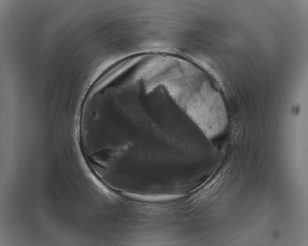 X0000097851383200803281237