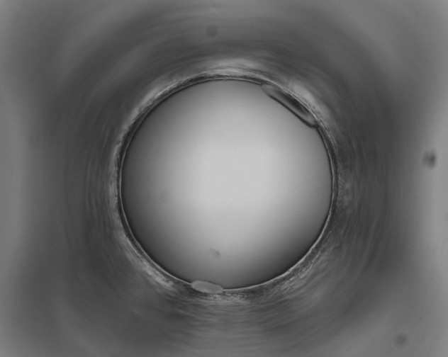 X0000097851384200803281237